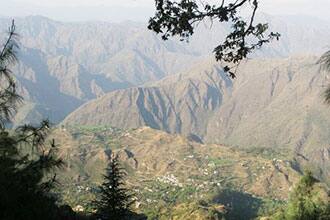 Shimla Farm House, Shimla 5
